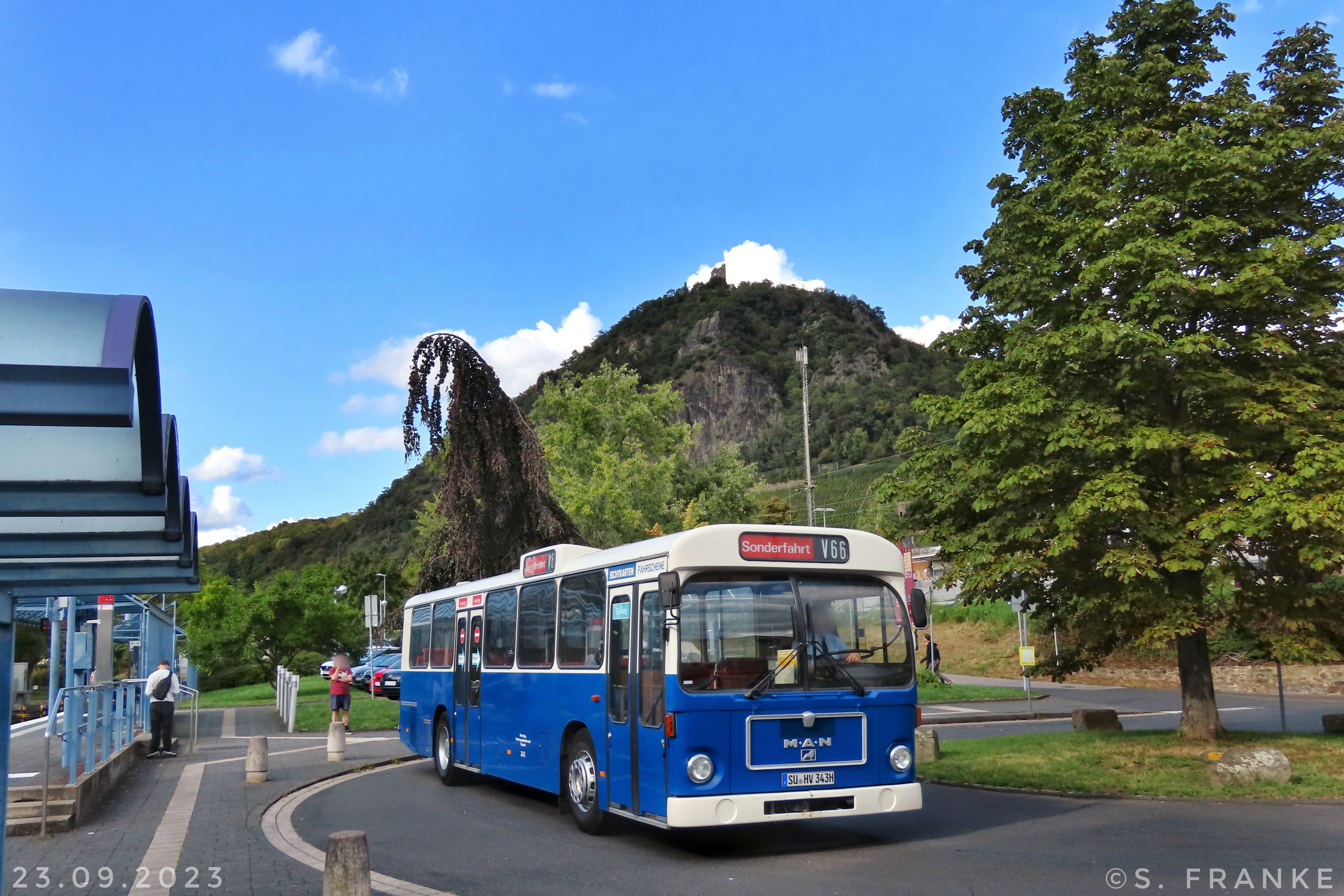 der Oldtimer-Bus der RSVG unterwegs im Siebengebirge, der Drachenfels im Hintergrund